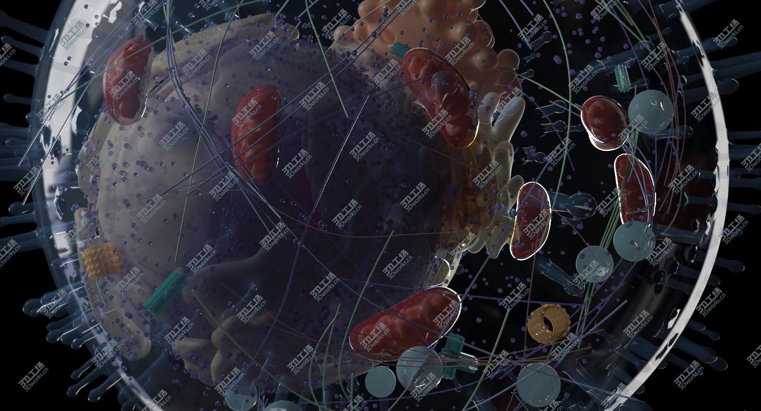 images/goods_img/2021040235/3D Human Cell/5.jpg